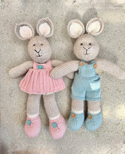 Load image into Gallery viewer, pattern - lexie &amp; dunstan bunny