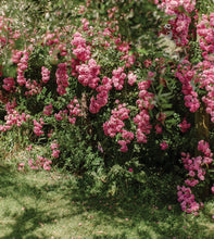 Load image into Gallery viewer, shepherdess magazine - spring edition