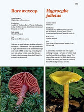 Load image into Gallery viewer, fungi of aotearoa - book by liv sissons